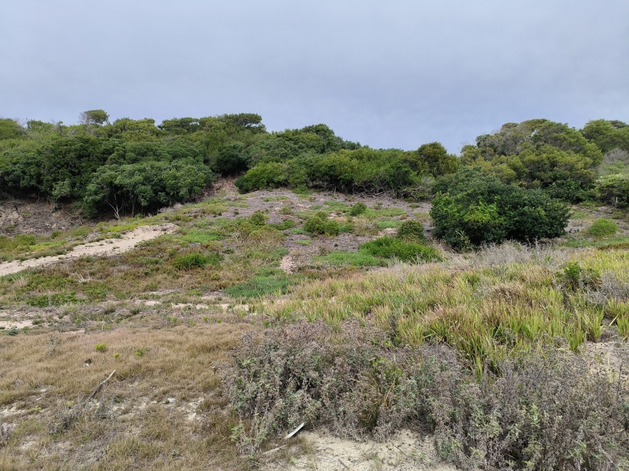 0 Bedroom Property for Sale in Paradise Beach Eastern Cape